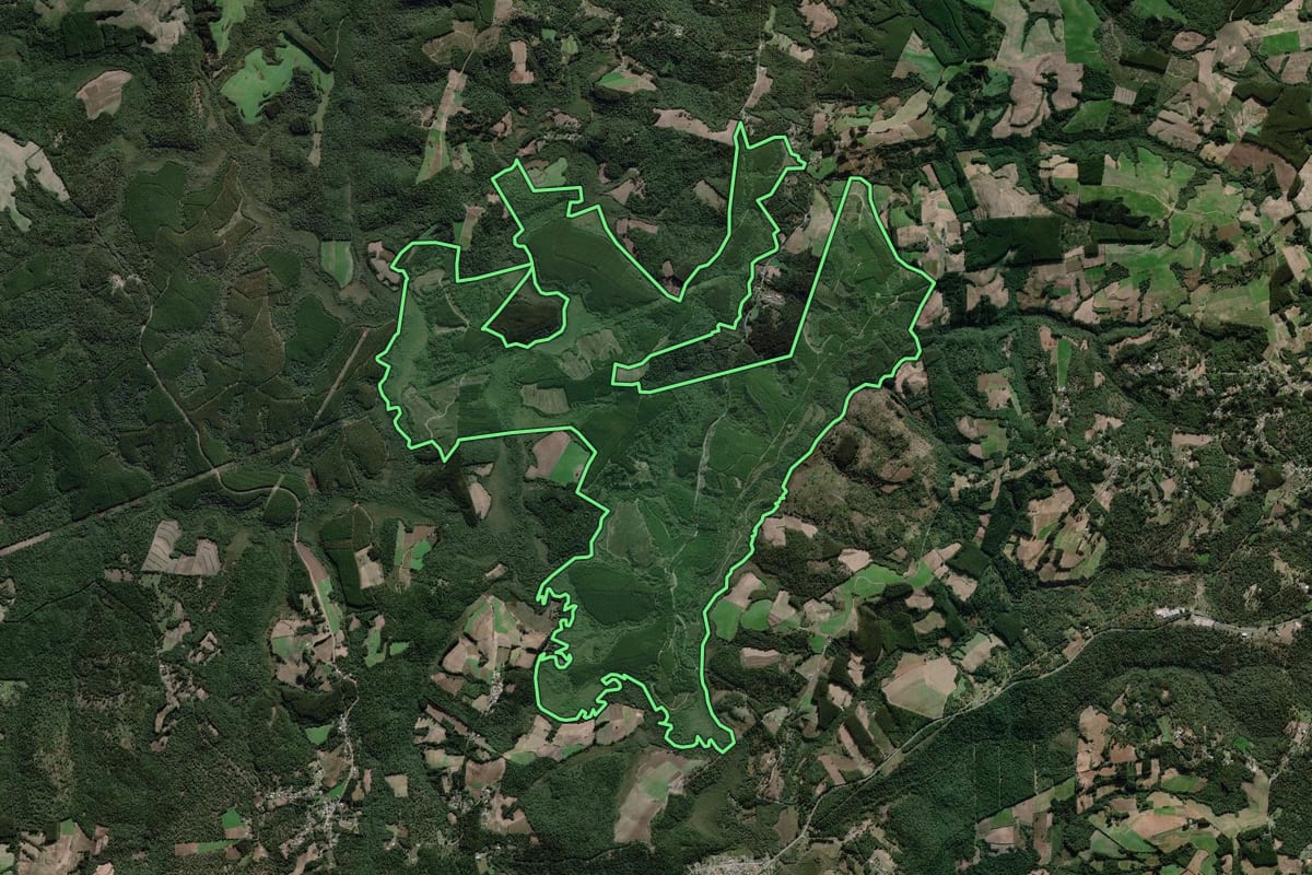 Imagem de satélite do imóvel rural em São João do Triunfo (PR), com o contorno declarado no CAR desenhado por cima.