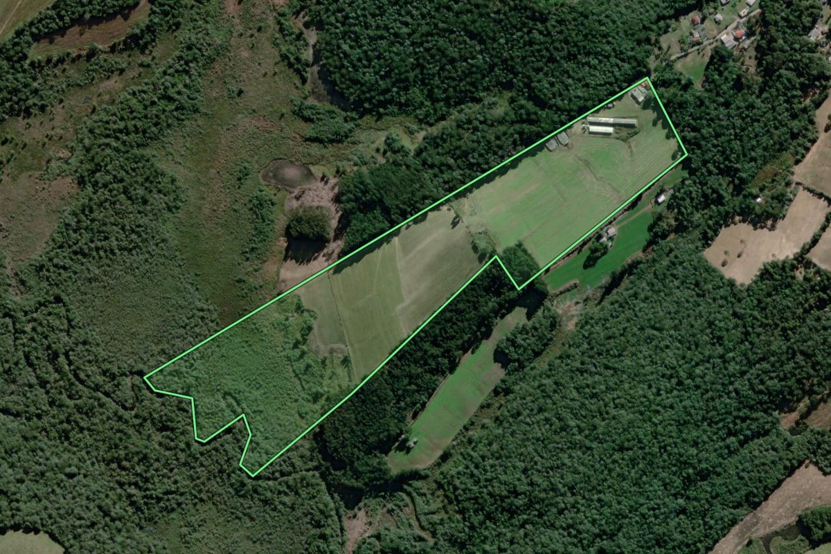 Imagem de satélite do imóvel rural em São João do Triunfo (PR), com o contorno declarado no CAR desenhado por cima.