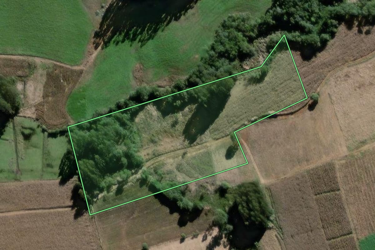 Imagem de satélite do imóvel rural em São João do Triunfo (PR), com o contorno declarado no CAR desenhado por cima.