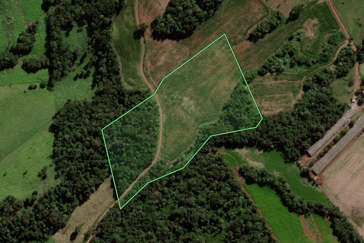 Imagem de satélite do imóvel rural em São Jorge d'Oeste (PR), com o contorno declarado no CAR desenhado por cima.