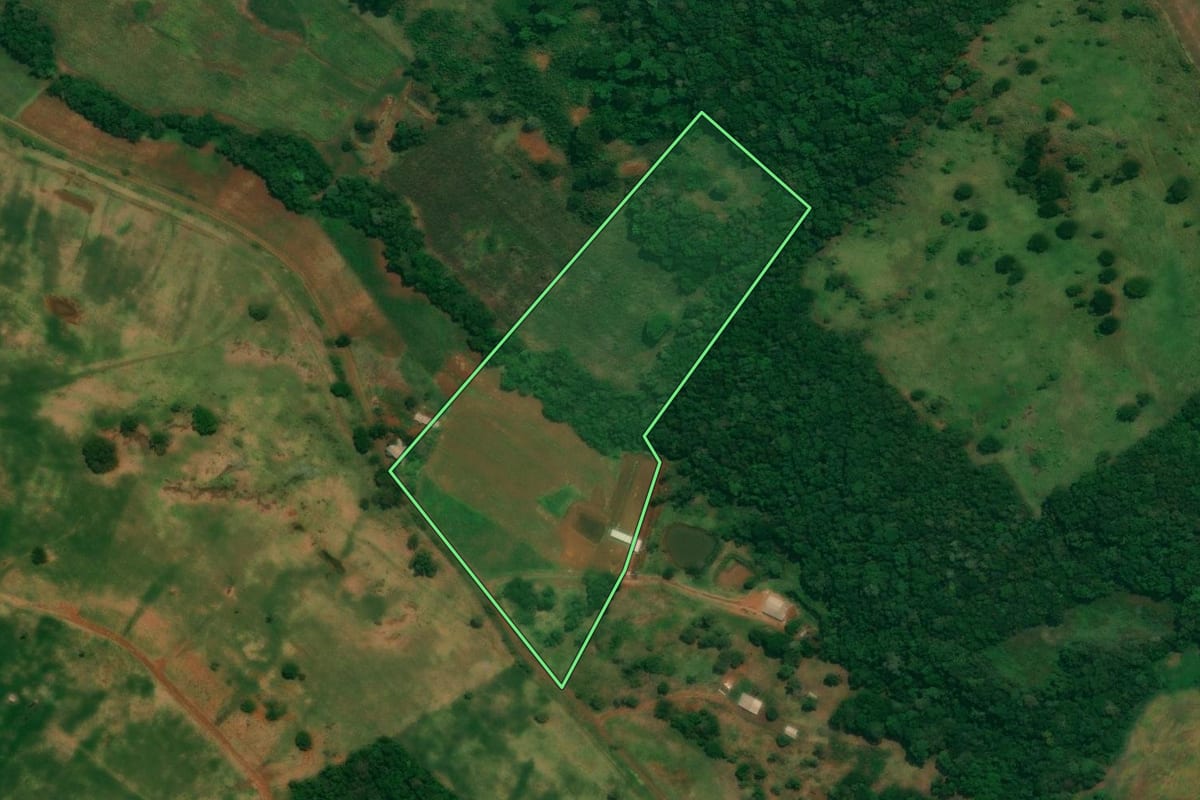 Imagem de satélite do imóvel rural em São Jorge d'Oeste (PR), com o contorno declarado no CAR desenhado por cima.