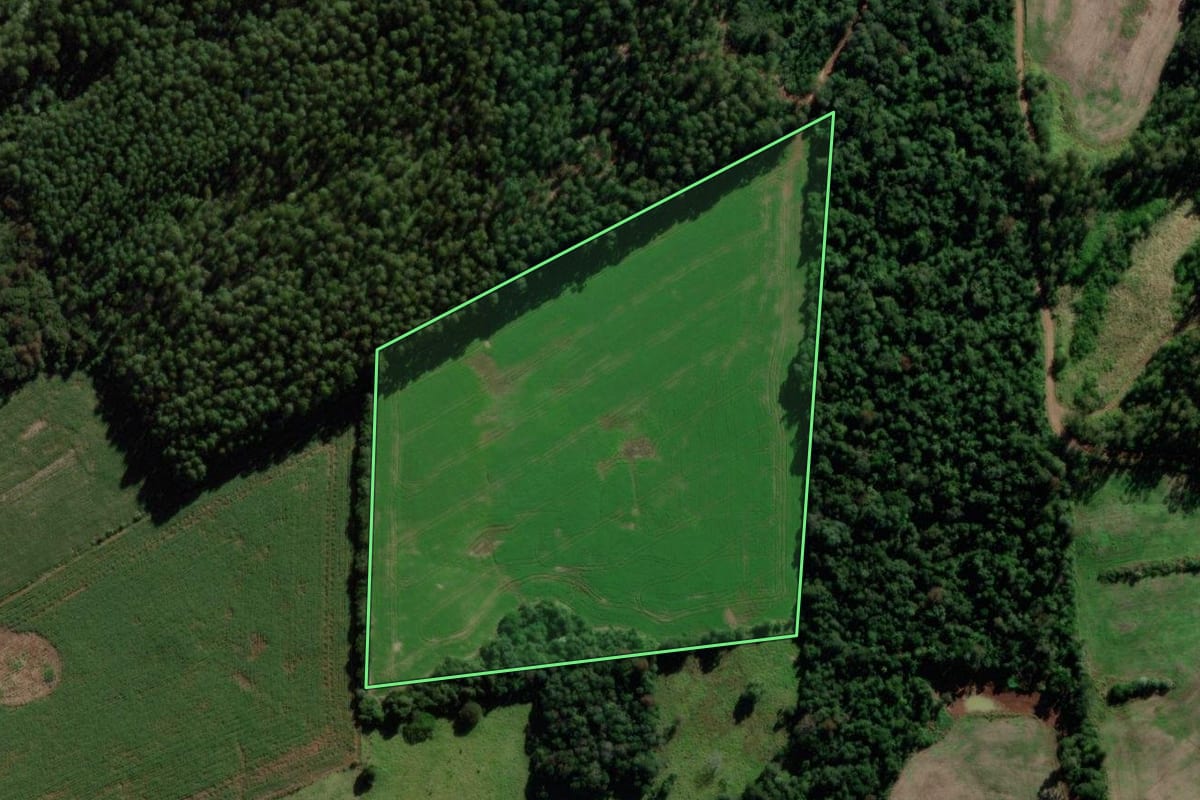 Imagem de satélite do imóvel rural em São Jorge d'Oeste (PR), com o contorno declarado no CAR desenhado por cima.