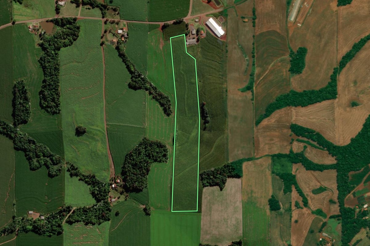 Imagem de satélite do imóvel rural em São Jorge d'Oeste (PR), com o contorno declarado no CAR desenhado por cima.