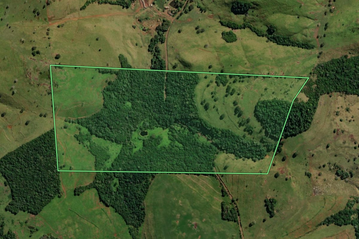 Imagem de satélite do imóvel rural em São Jorge d'Oeste (PR), com o contorno declarado no CAR desenhado por cima.