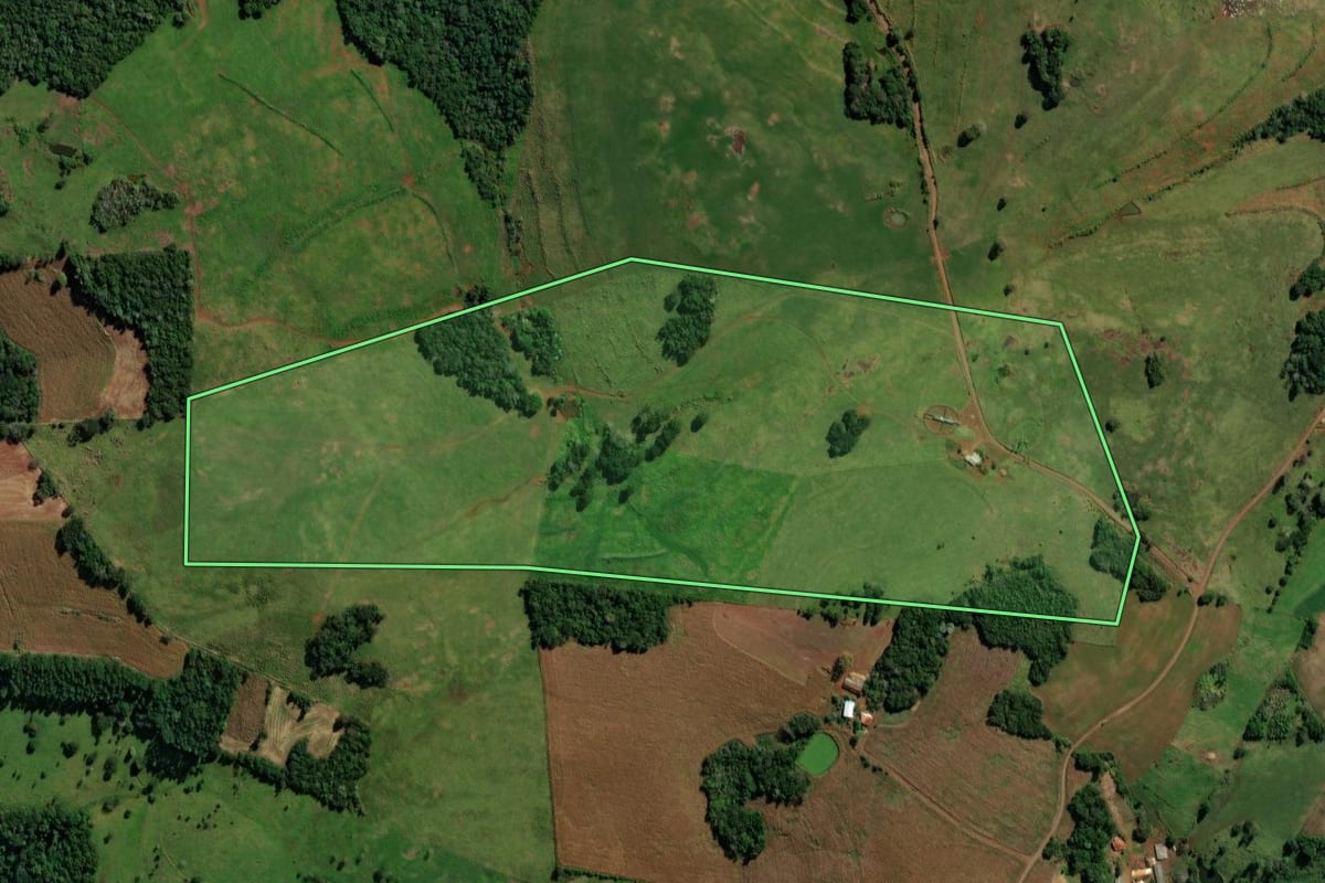 Imagem de satélite do imóvel rural em São Jorge d'Oeste (PR), com o contorno declarado no CAR desenhado por cima.