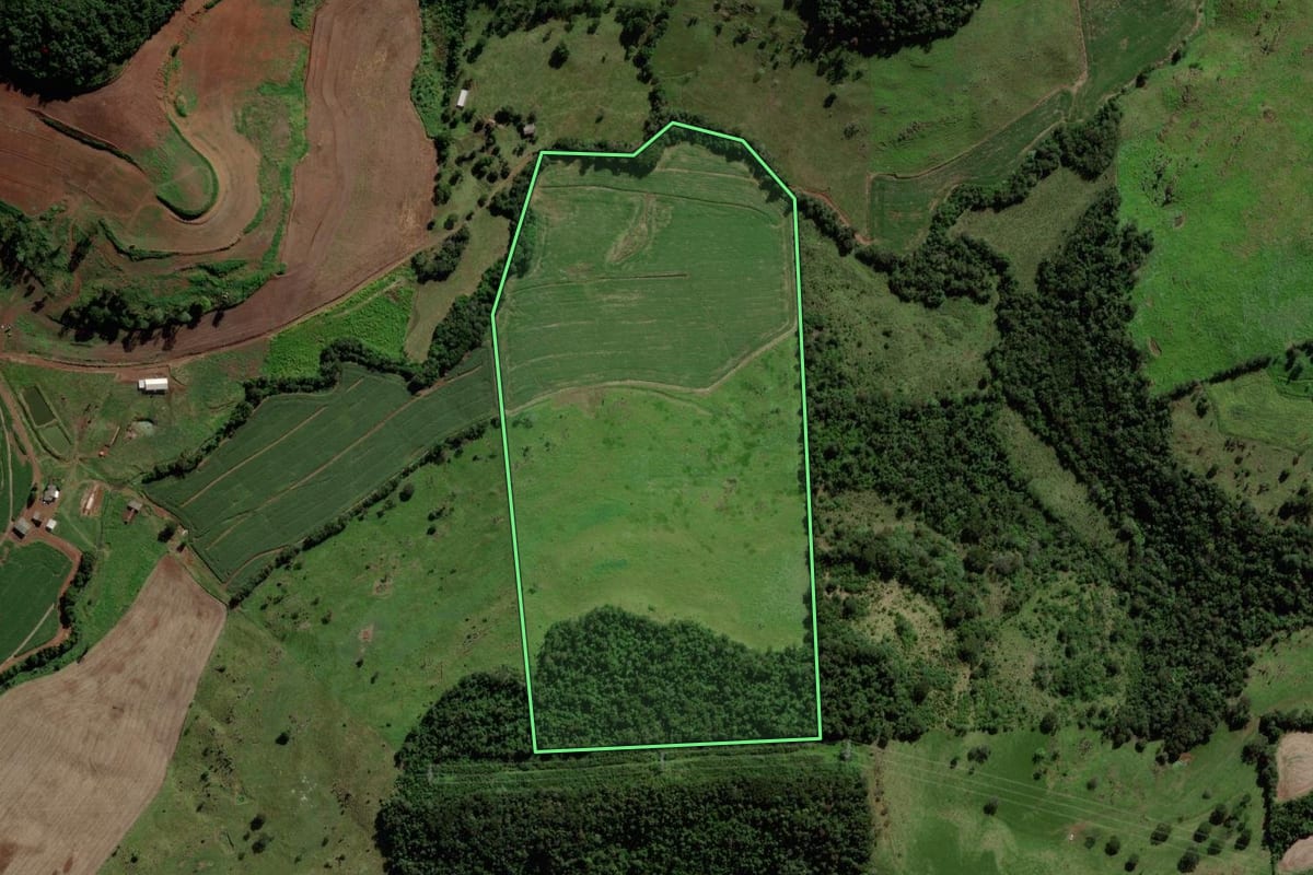 Imagem de satélite do imóvel rural em São Jorge d'Oeste (PR), com o contorno declarado no CAR desenhado por cima.
