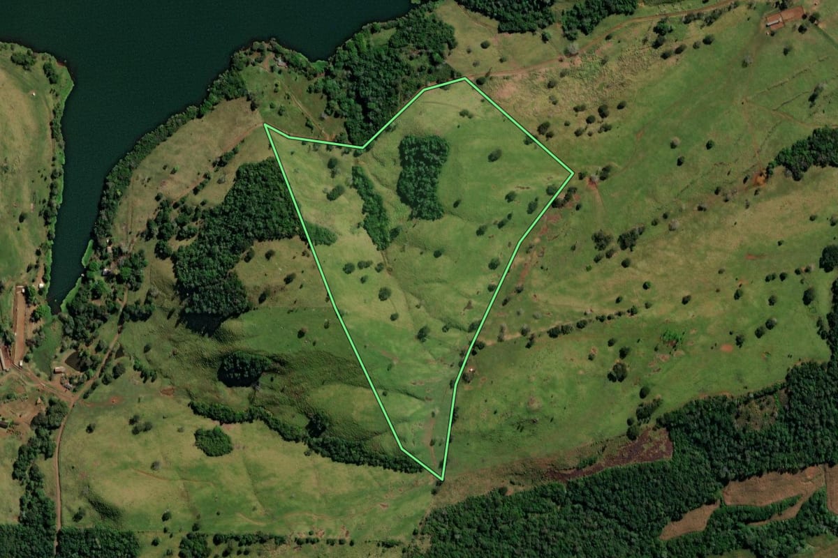 Imagem de satélite do imóvel rural em São Jorge d'Oeste (PR), com o contorno declarado no CAR desenhado por cima.