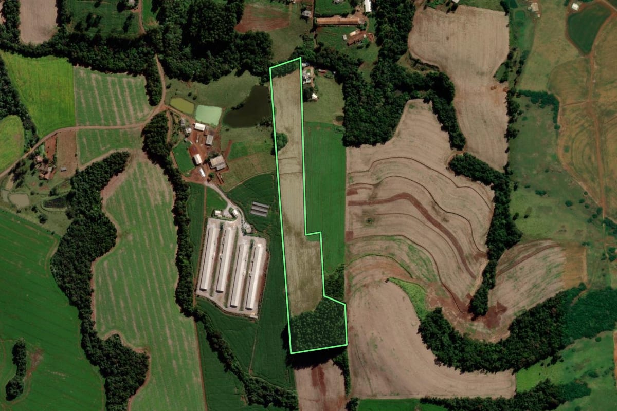 Imagem de satélite do imóvel rural em São Jorge d'Oeste (PR), com o contorno declarado no CAR desenhado por cima.