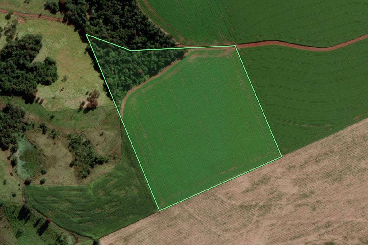 Imagem de satélite do imóvel rural em São Jorge d'Oeste (PR), com o contorno declarado no CAR desenhado por cima.
