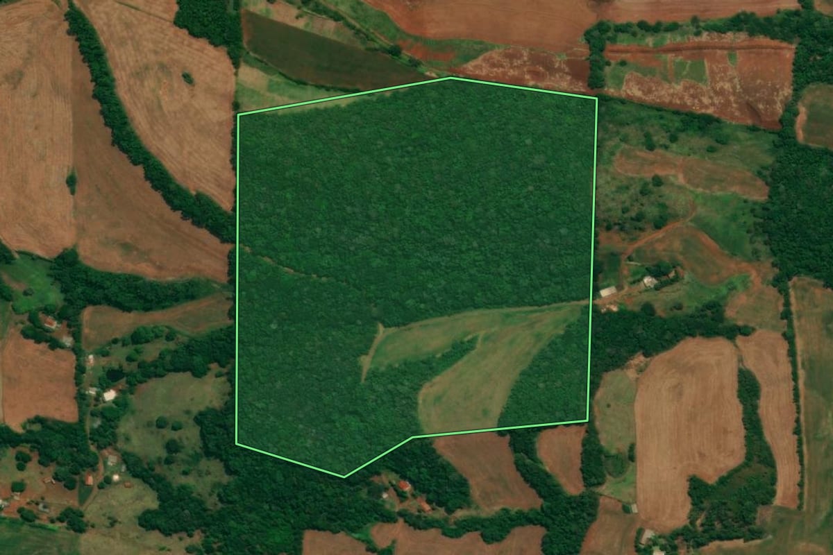 Imagem de satélite do imóvel rural em São Jorge d'Oeste (PR), com o contorno declarado no CAR desenhado por cima.