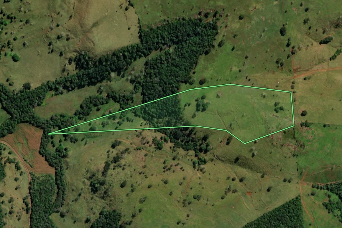 Imagem de satélite do imóvel rural em São Jorge d'Oeste (PR), com o contorno declarado no CAR desenhado por cima.