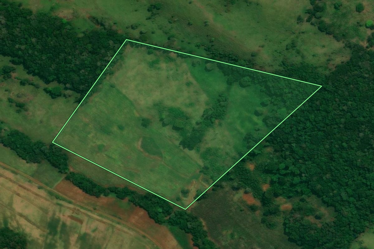 Imagem de satélite do imóvel rural em São Jorge d'Oeste (PR), com o contorno declarado no CAR desenhado por cima.