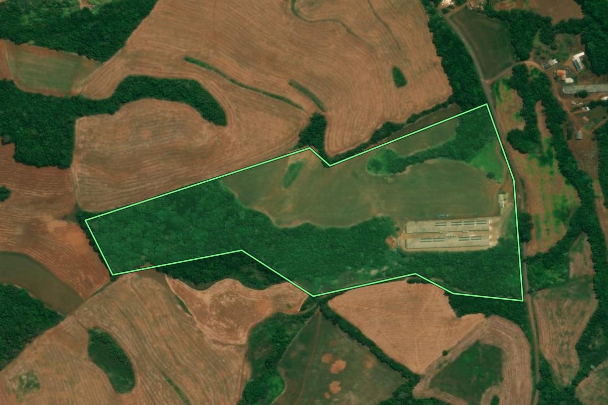 Imagem de satélite do imóvel rural em São Jorge d'Oeste (PR), com o contorno declarado no CAR desenhado por cima.
