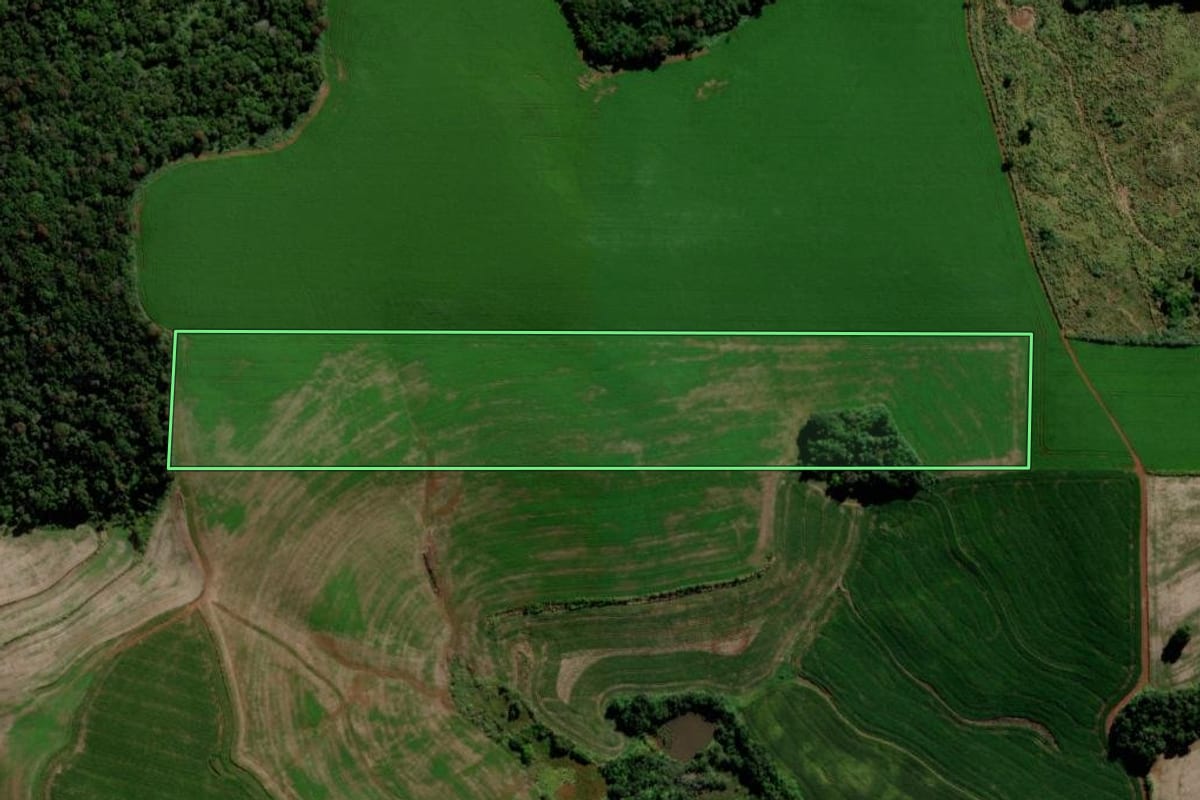 Imagem de satélite do imóvel rural em São Jorge d'Oeste (PR), com o contorno declarado no CAR desenhado por cima.