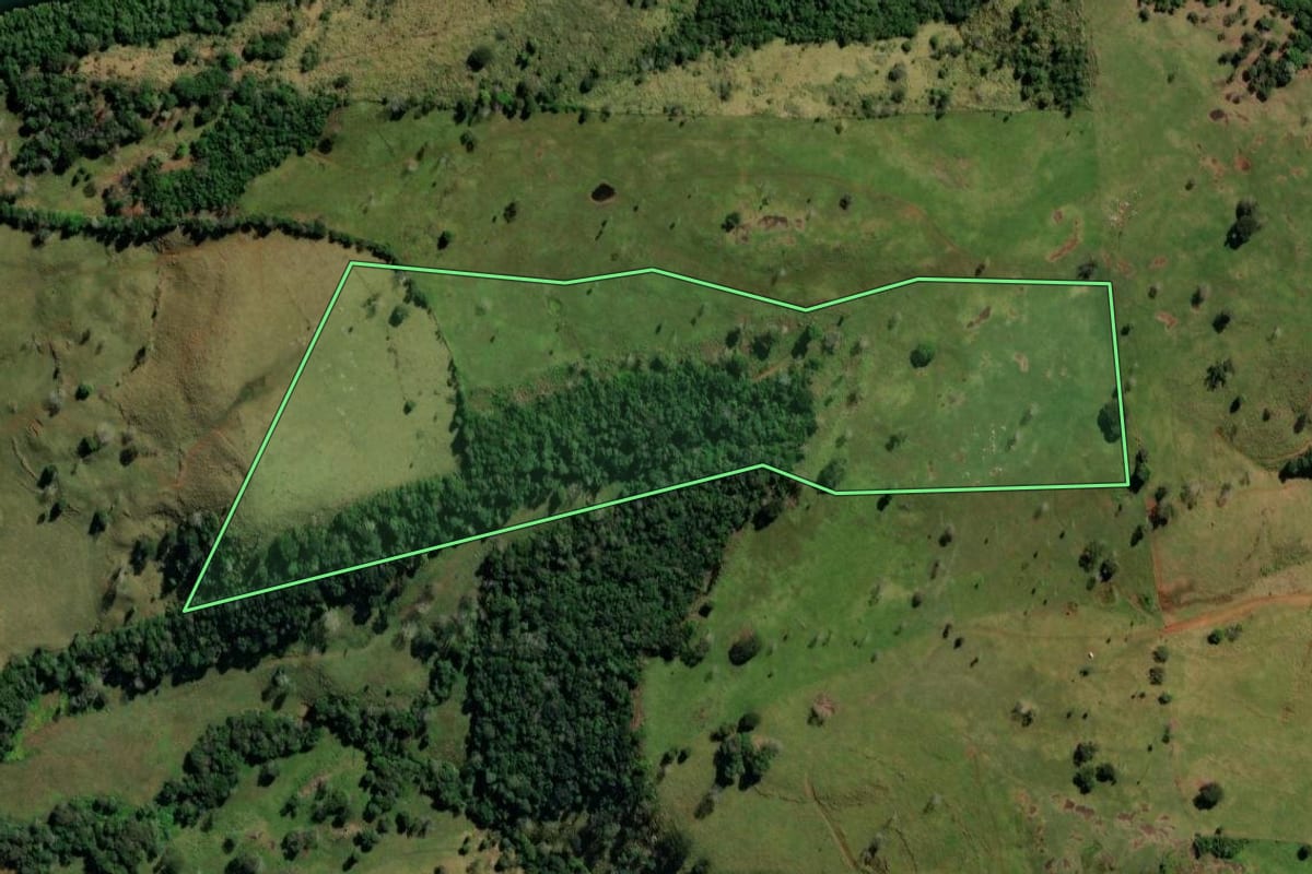 Imagem de satélite do imóvel rural em São Jorge d'Oeste (PR), com o contorno declarado no CAR desenhado por cima.