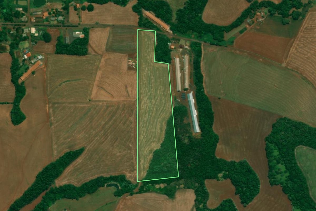 Imagem de satélite do imóvel rural em São Jorge d'Oeste (PR), com o contorno declarado no CAR desenhado por cima.