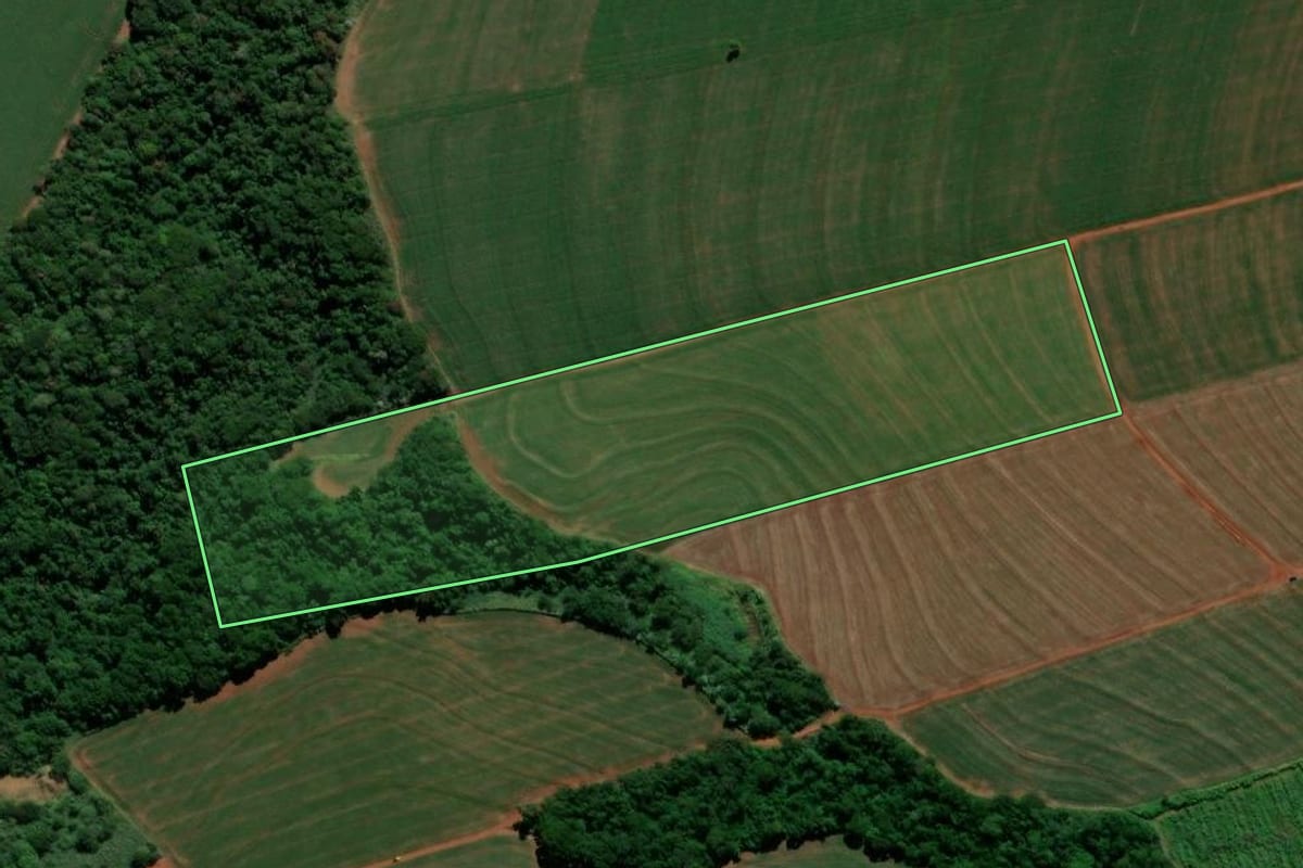 Imagem de satélite do imóvel rural em São Jorge do Ivaí (PR), com o contorno declarado no CAR desenhado por cima.