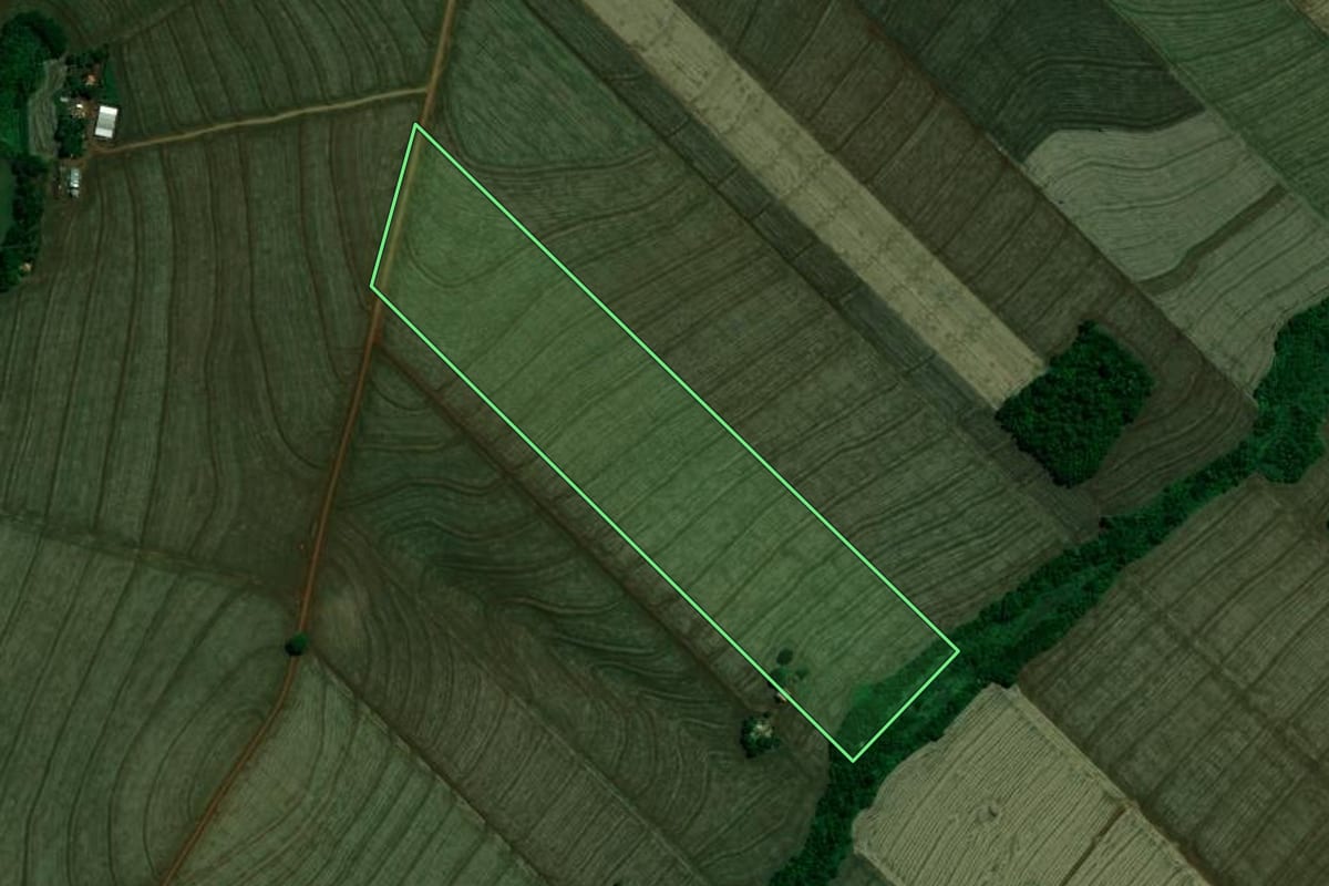 Imagem de satélite do imóvel rural em São Jorge do Ivaí (PR), com o contorno declarado no CAR desenhado por cima.