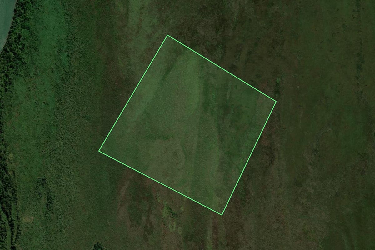 Imagem de satélite do imóvel rural em São Jorge do Patrocínio (PR), com o contorno declarado no CAR desenhado por cima.