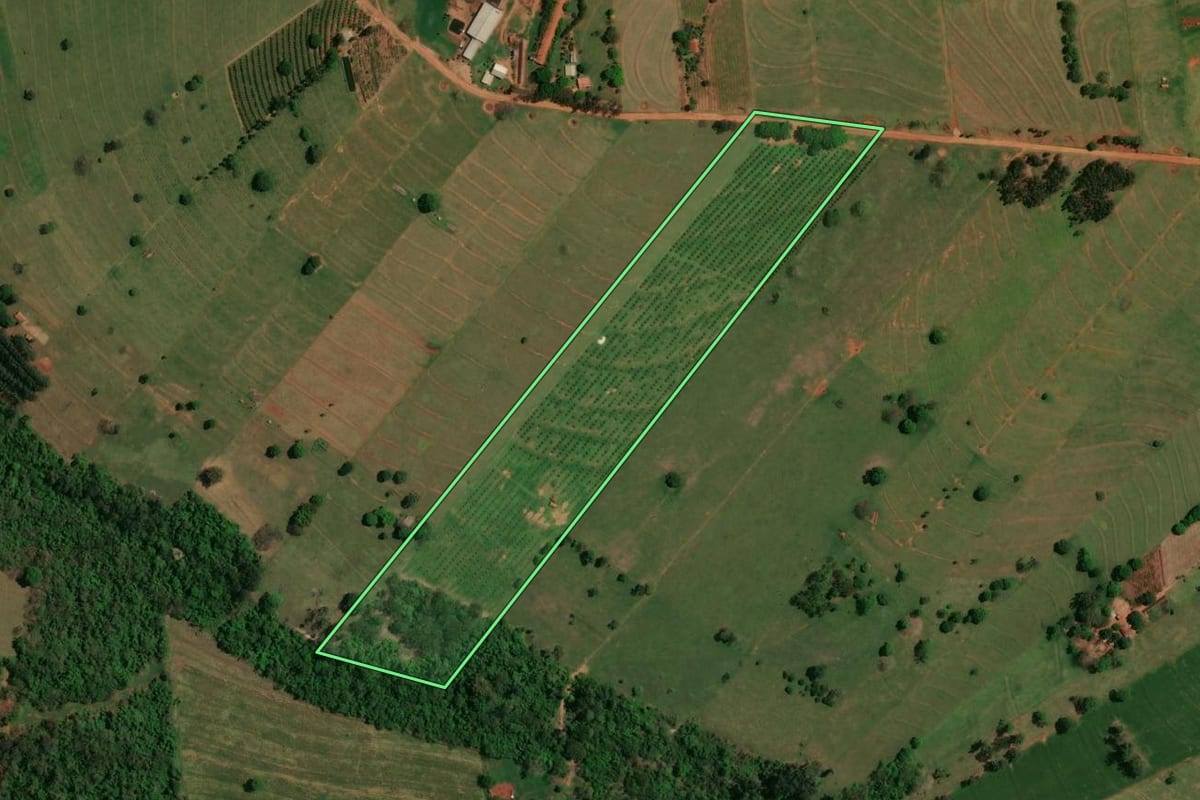 Imagem de satélite do imóvel rural em São Jorge do Patrocínio (PR), com o contorno declarado no CAR desenhado por cima.