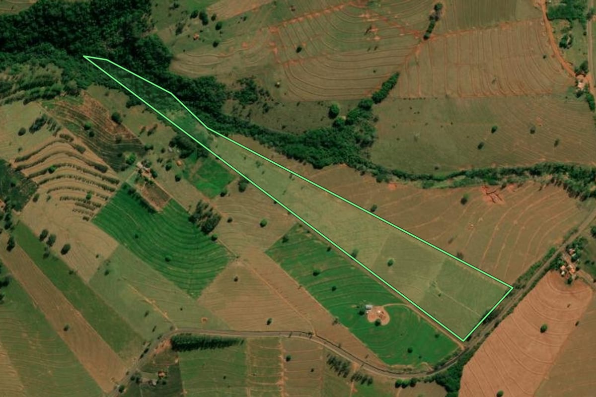 Imagem de satélite do imóvel rural em São Jorge do Patrocínio (PR), com o contorno declarado no CAR desenhado por cima.