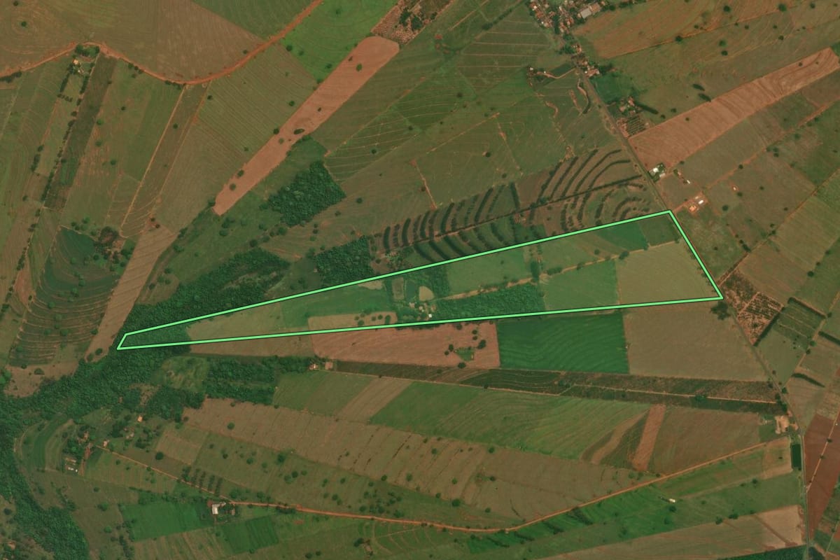 Imagem de satélite do imóvel rural em São Jorge do Patrocínio (PR), com o contorno declarado no CAR desenhado por cima.