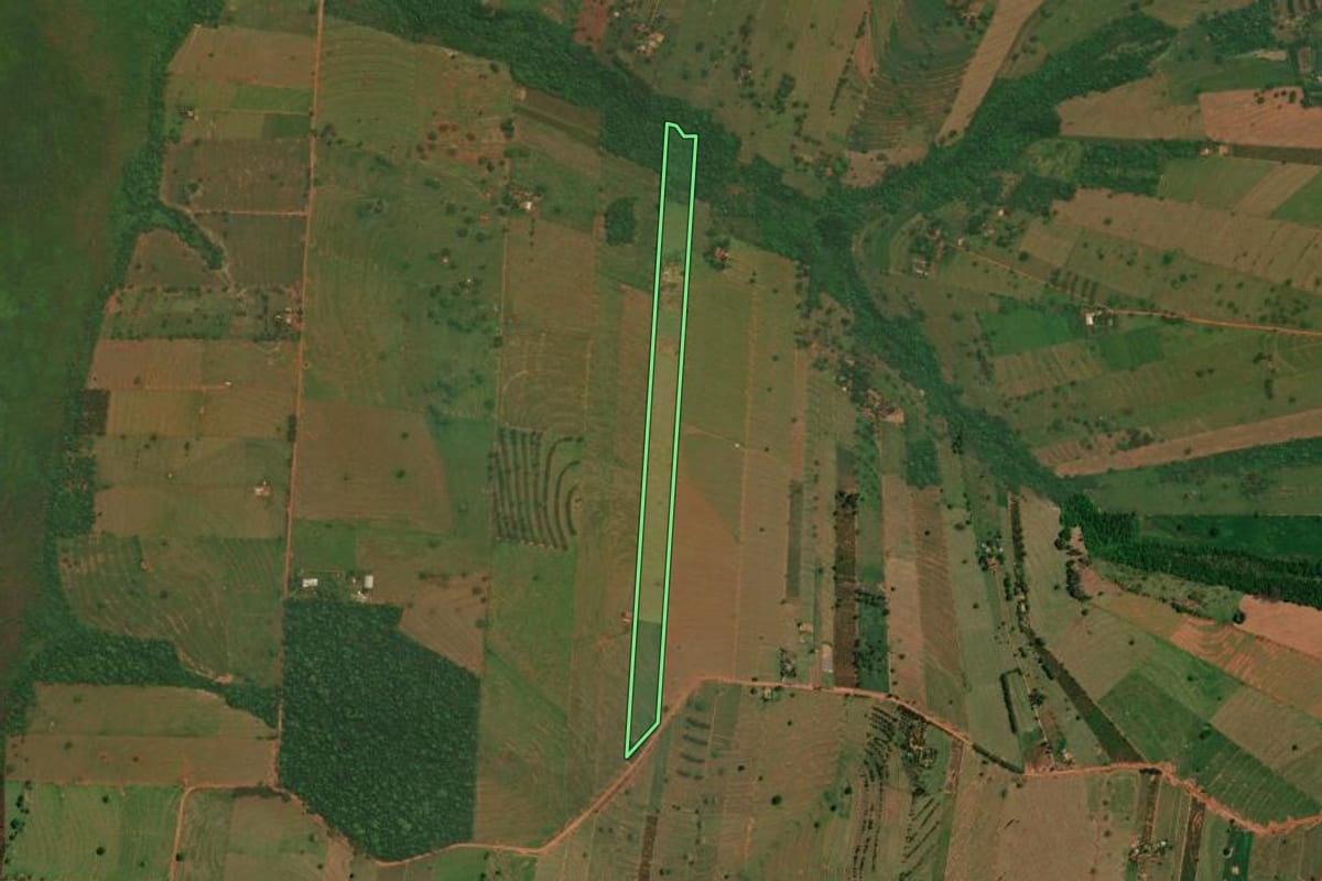 Imagem de satélite do imóvel rural em São Jorge do Patrocínio (PR), com o contorno declarado no CAR desenhado por cima.