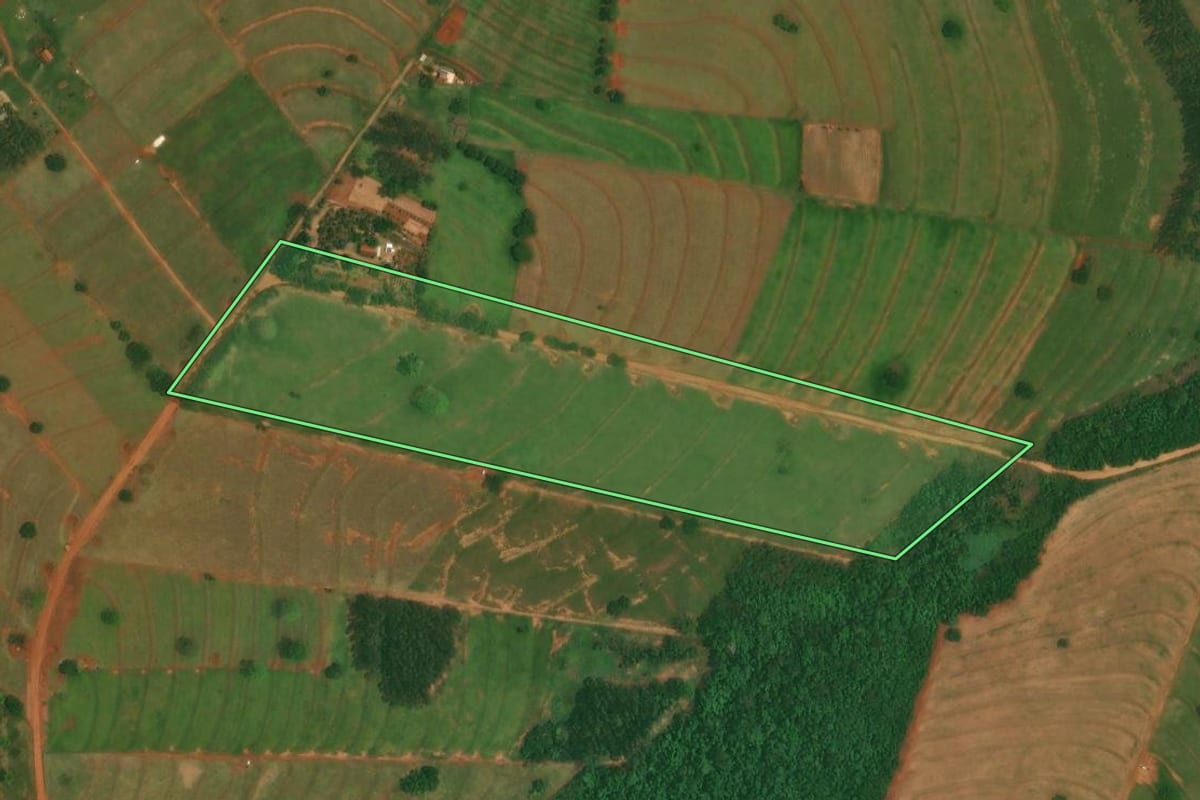 Imagem de satélite do imóvel rural em São Jorge do Patrocínio (PR), com o contorno declarado no CAR desenhado por cima.