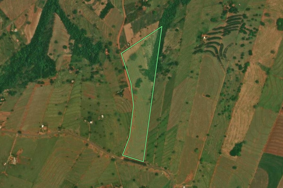 Imagem de satélite do imóvel rural em São Jorge do Patrocínio (PR), com o contorno declarado no CAR desenhado por cima.