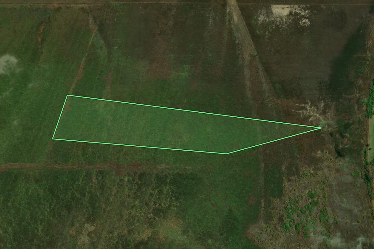 Imagem de satélite do imóvel rural em São Jorge do Patrocínio (PR), com o contorno declarado no CAR desenhado por cima.