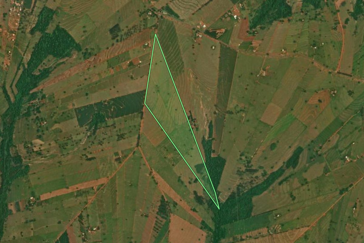 Imagem de satélite do imóvel rural em São Jorge do Patrocínio (PR), com o contorno declarado no CAR desenhado por cima.