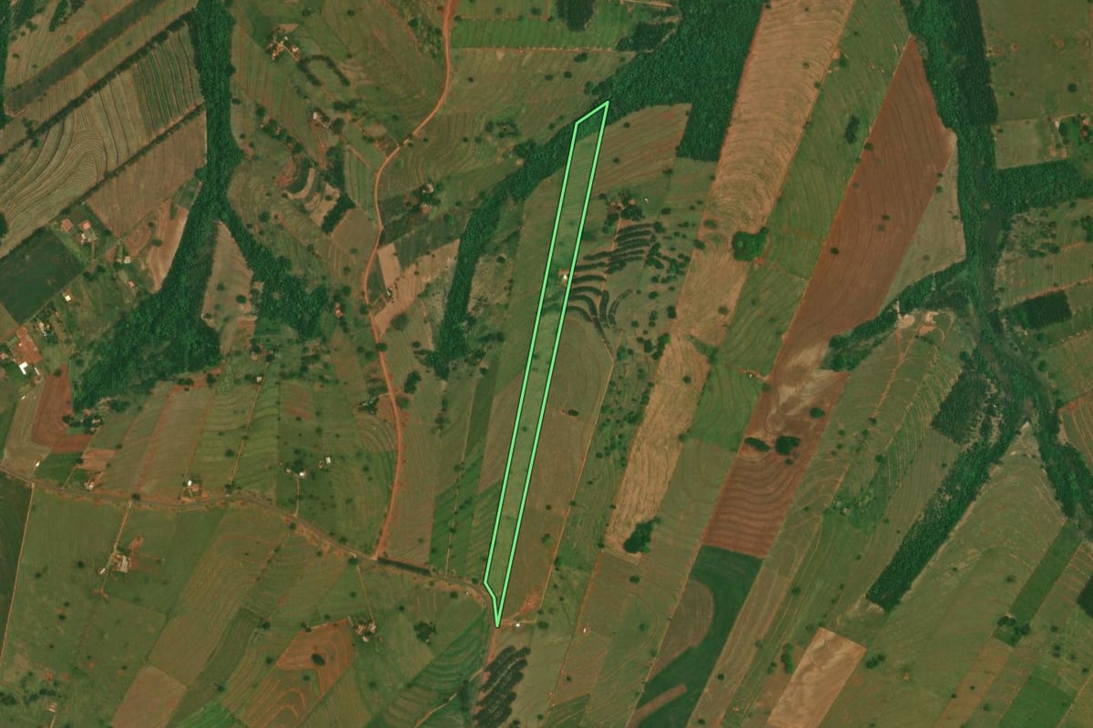 Imagem de satélite do imóvel rural em São Jorge do Patrocínio (PR), com o contorno declarado no CAR desenhado por cima.