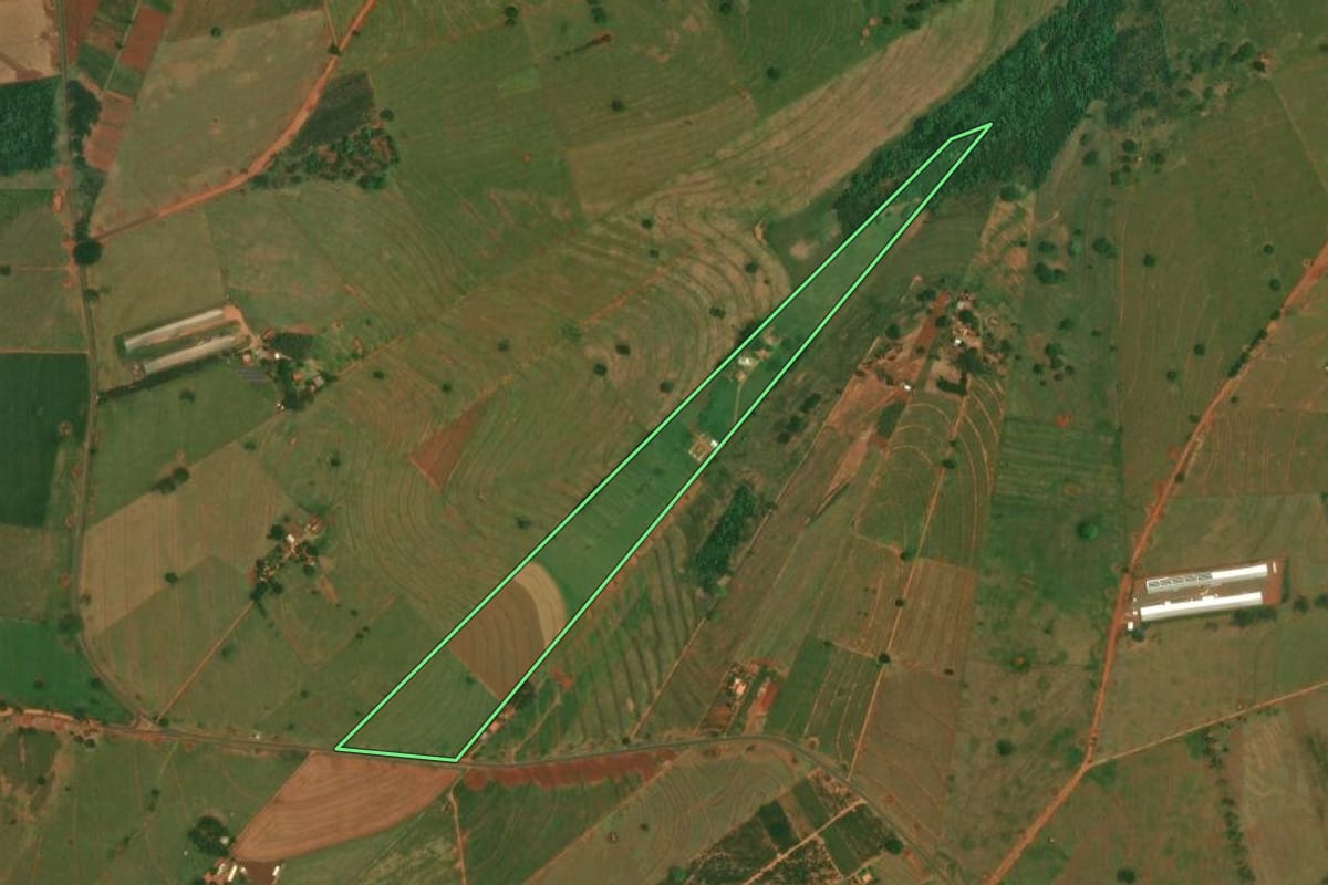 Imagem de satélite do imóvel rural em São Jorge do Patrocínio (PR), com o contorno declarado no CAR desenhado por cima.