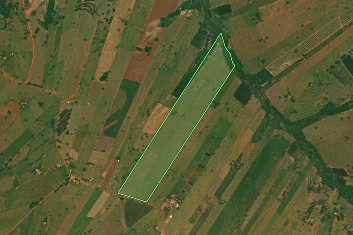 Imagem de satélite do imóvel rural em São Jorge do Patrocínio (PR), com o contorno declarado no CAR desenhado por cima.