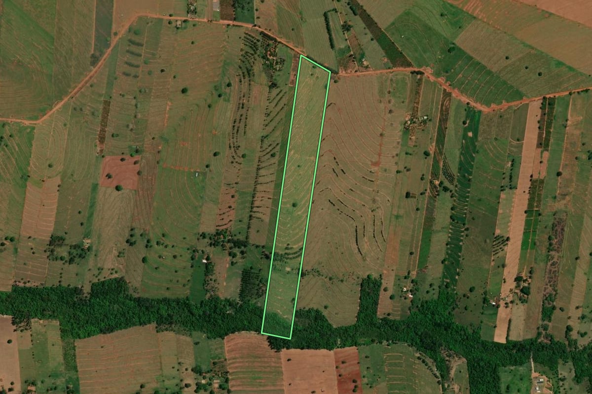 Imagem de satélite do imóvel rural em São Jorge do Patrocínio (PR), com o contorno declarado no CAR desenhado por cima.