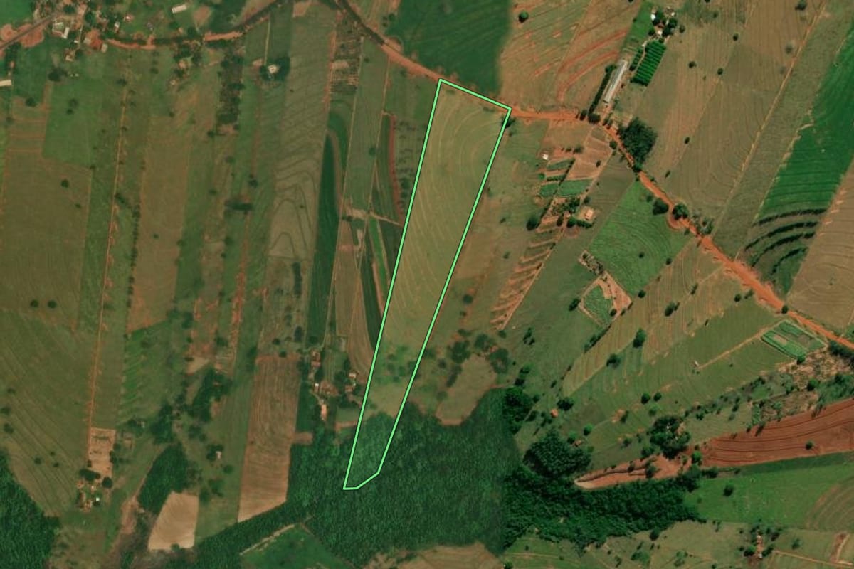 Imagem de satélite do imóvel rural em São Jorge do Patrocínio (PR), com o contorno declarado no CAR desenhado por cima.