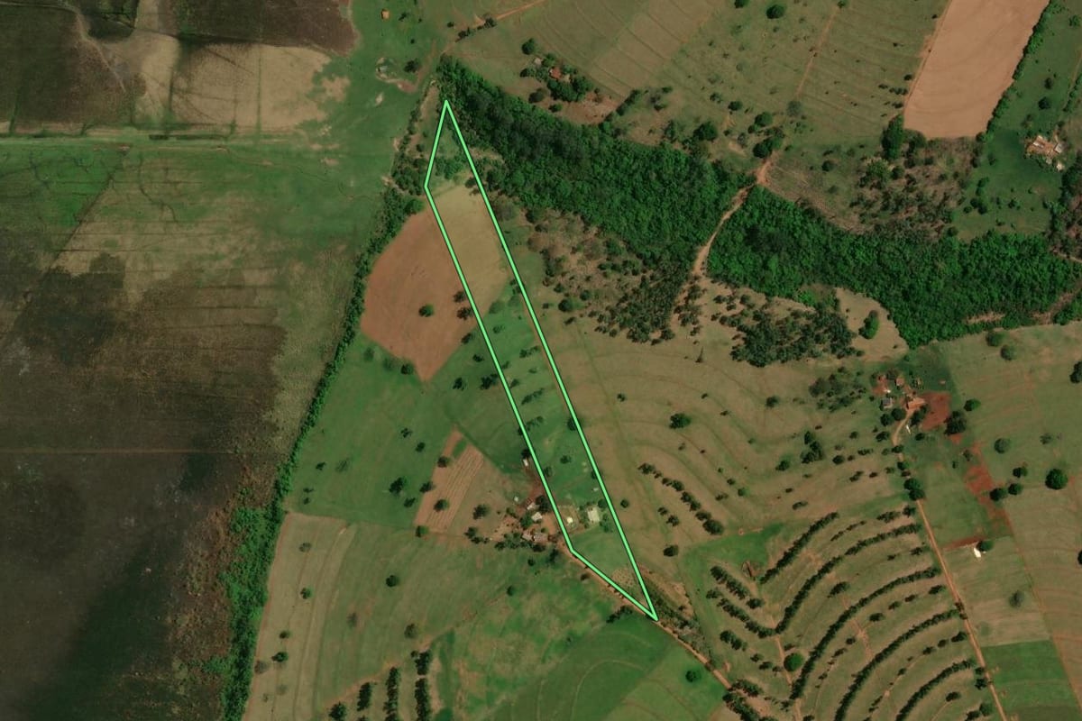 Imagem de satélite do imóvel rural em São Jorge do Patrocínio (PR), com o contorno declarado no CAR desenhado por cima.