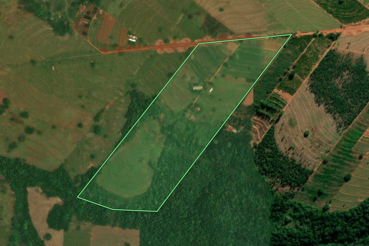 Imagem de satélite do imóvel rural em São Jorge do Patrocínio (PR), com o contorno declarado no CAR desenhado por cima.