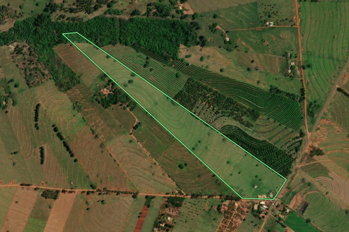 Imagem de satélite do imóvel rural em São Jorge do Patrocínio (PR), com o contorno declarado no CAR desenhado por cima.