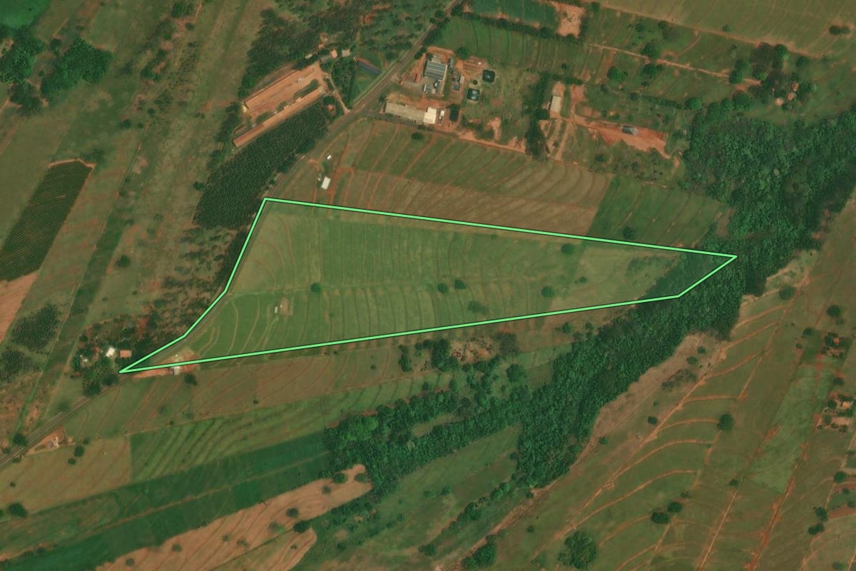 Imagem de satélite do imóvel rural em São Jorge do Patrocínio (PR), com o contorno declarado no CAR desenhado por cima.