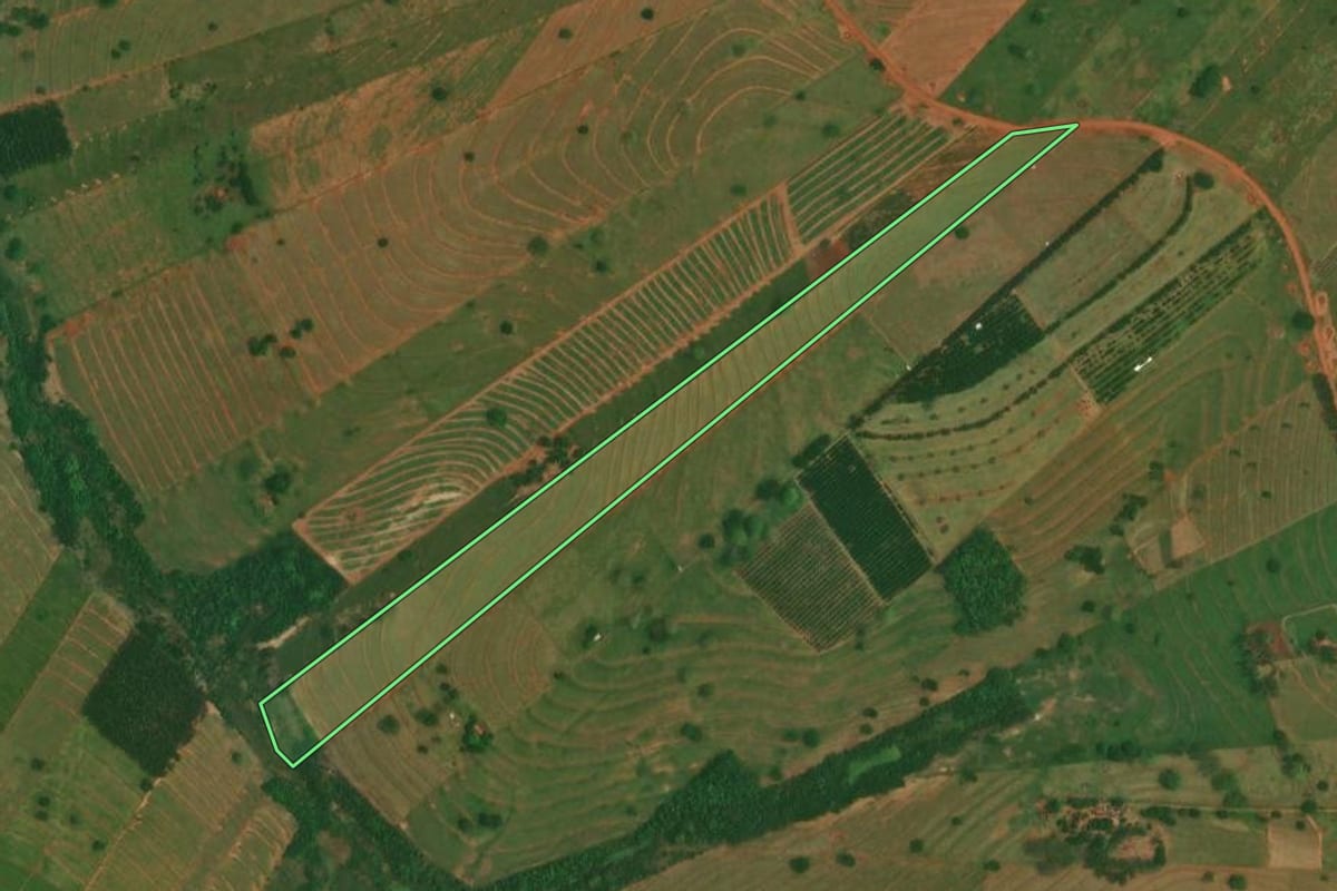 Imagem de satélite do imóvel rural em São Jorge do Patrocínio (PR), com o contorno declarado no CAR desenhado por cima.