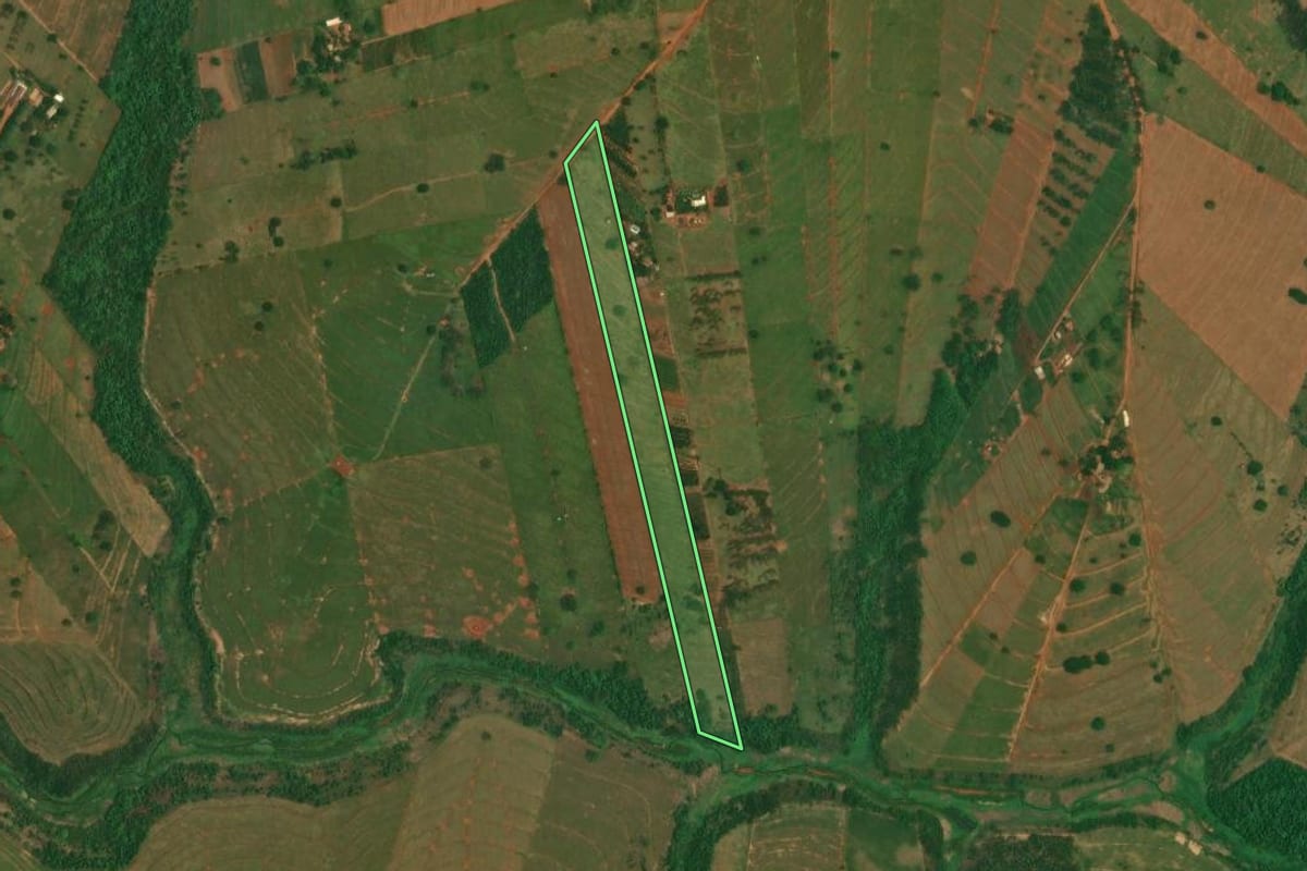 Imagem de satélite do imóvel rural em São Jorge do Patrocínio (PR), com o contorno declarado no CAR desenhado por cima.