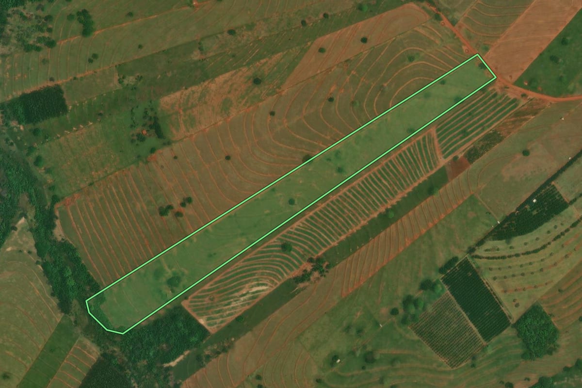 Imagem de satélite do imóvel rural em São Jorge do Patrocínio (PR), com o contorno declarado no CAR desenhado por cima.
