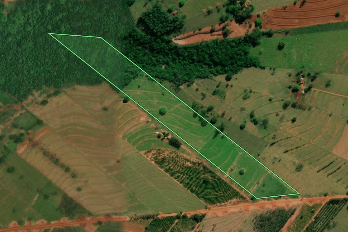 Imagem de satélite do imóvel rural em São Jorge do Patrocínio (PR), com o contorno declarado no CAR desenhado por cima.