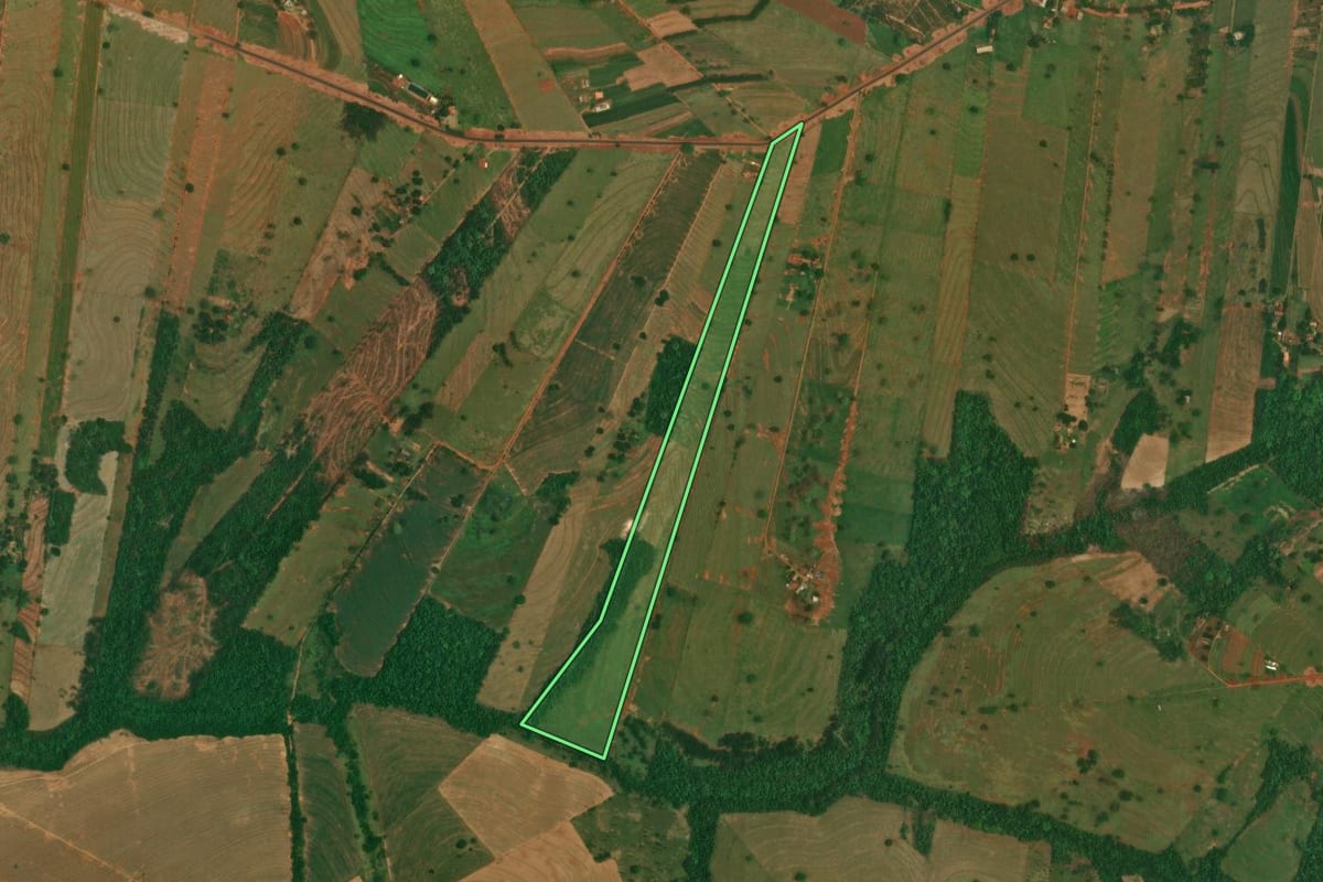 Imagem de satélite do imóvel rural em São Jorge do Patrocínio (PR), com o contorno declarado no CAR desenhado por cima.