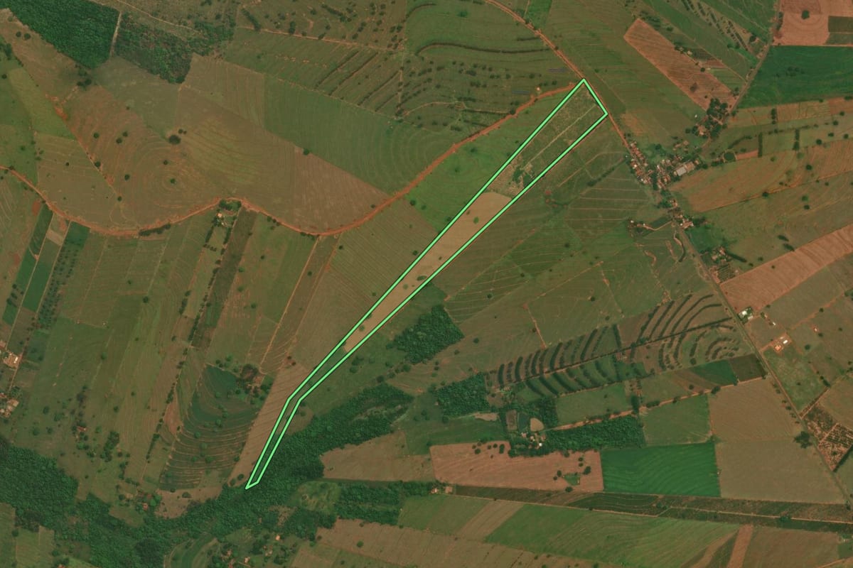 Imagem de satélite do imóvel rural em São Jorge do Patrocínio (PR), com o contorno declarado no CAR desenhado por cima.