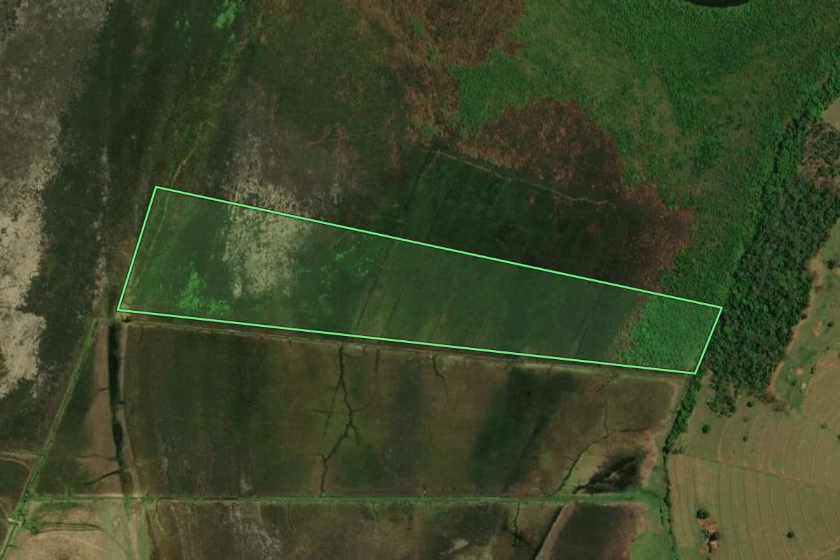 Imagem de satélite do imóvel rural em São Jorge do Patrocínio (PR), com o contorno declarado no CAR desenhado por cima.