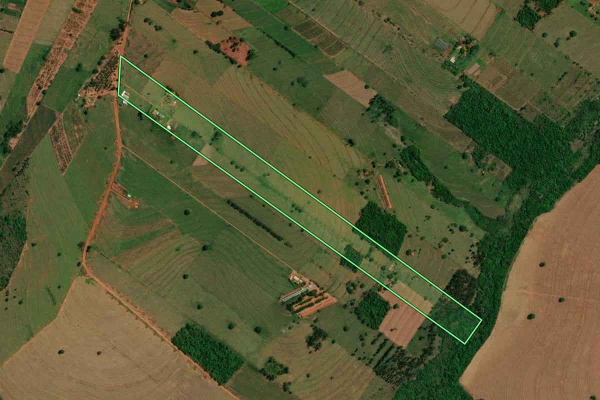 Imagem de satélite do imóvel rural em São Jorge do Patrocínio (PR), com o contorno declarado no CAR desenhado por cima.