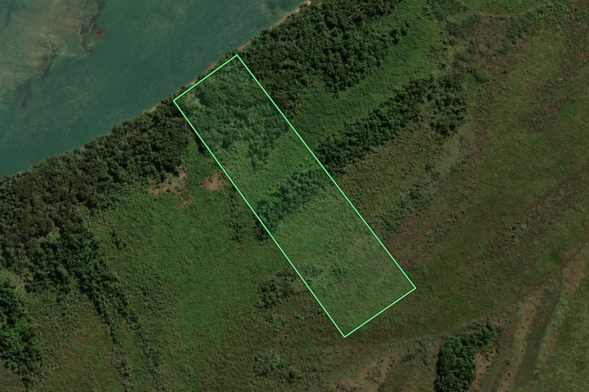 Imagem de satélite do imóvel rural em São Jorge do Patrocínio (PR), com o contorno declarado no CAR desenhado por cima.