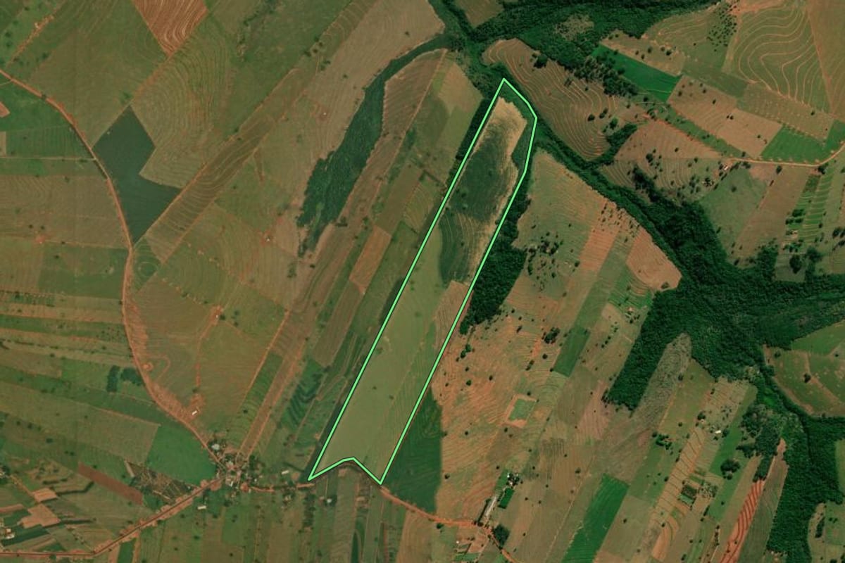 Imagem de satélite do imóvel rural em São Jorge do Patrocínio (PR), com o contorno declarado no CAR desenhado por cima.